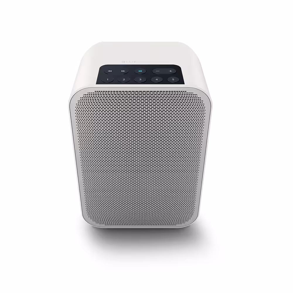 BlueSound Flex Portable Speaker