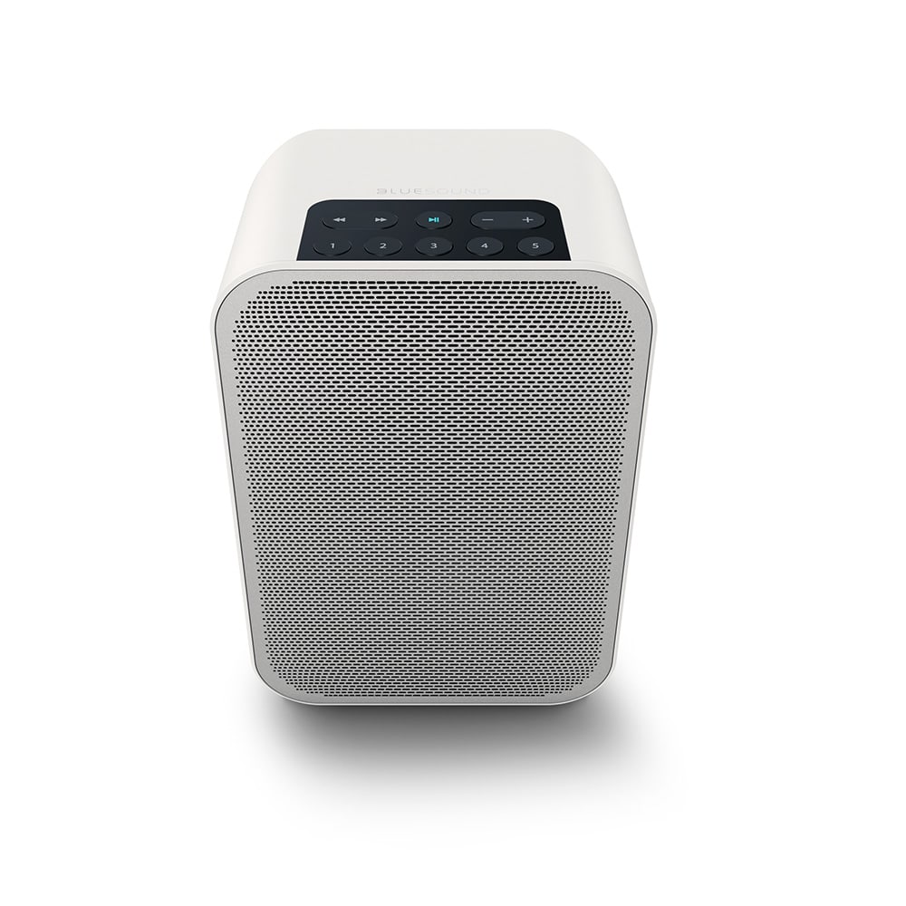 BlueSound Flex Portable Speaker